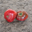 260 Dana's Dusky Rose Tomato, 5 Seeds