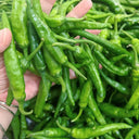 Korean Green Chili Pepper, 20 Seeds