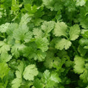 Yunxiang 369 Coriander Seeds, 50g