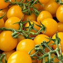 Super Sweet Yellow Peach Fruit Tomato, 100 Seeds