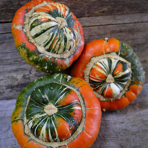 Hezhichun Turk's Turban Pumpkin, 10 Seeds
