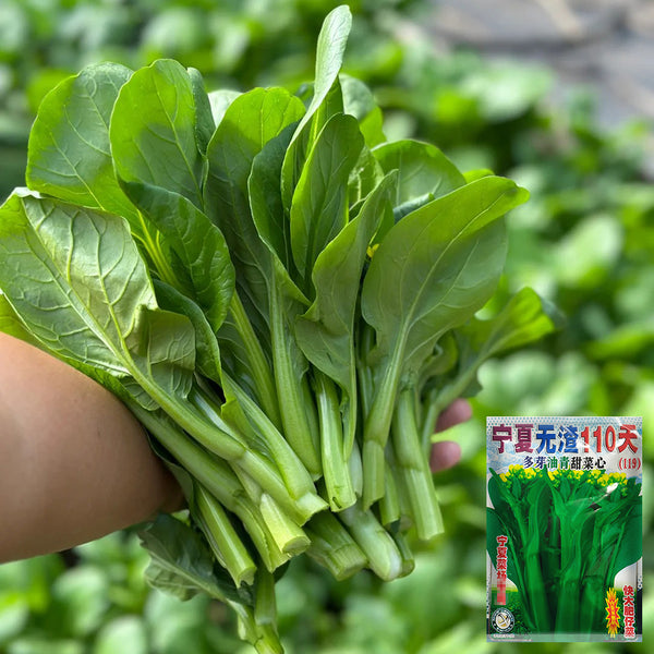 Ningxia Fiberless 110-day Choy Sum Seeds, 20g