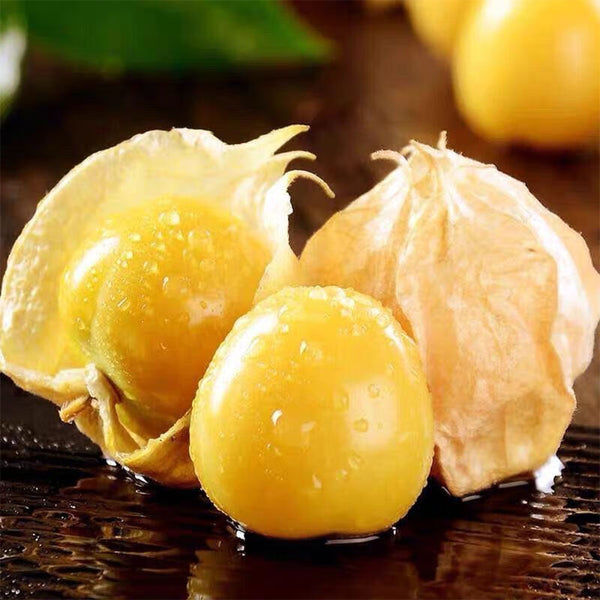 Ground cherry Seeds, 5g