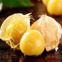 Ground cherry Seeds, 5g