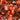 Bronze Leaf Red Flower Begonia, 50 Coated Seeds