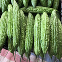 Silver Jubilee Pearl Bitter Gourd F1 Seeds, 20 Seeds