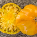 902 Kozula 174 Giant Tomato, 5 Seeds