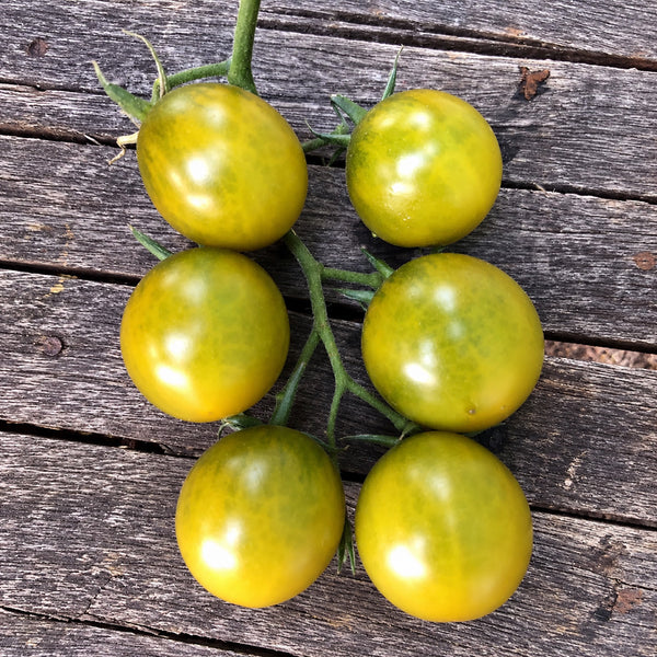 192 Green Honey Tomato, 5 Seeds