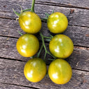 192 Green Honey Tomato, 5 Seeds