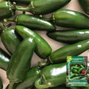 Heirloom Jalapeño Pepper, 10-20 Seeds
