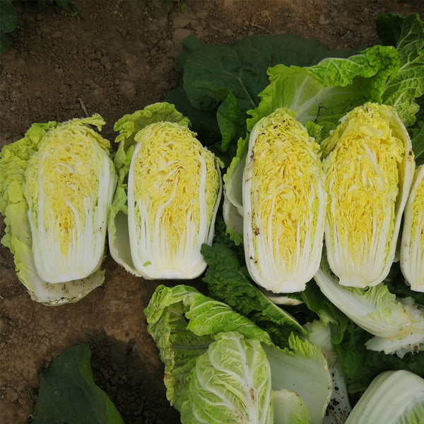 Huanai Baby Pak Choy Seeds, 10g