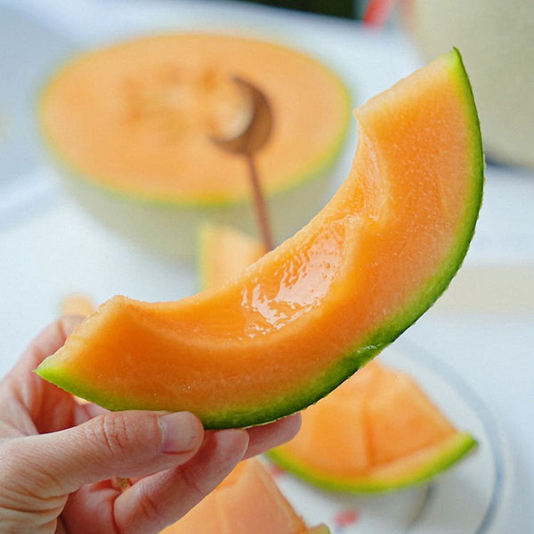 Maiour Melon Hybird F1 Seeds, 10 Seeds