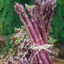 Purple Asparagus Seeds, 2g