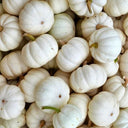 Specialty Mini White Beibei Squash, 10 Seeds