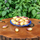 311 Marchenengel Fairytale Angel Tomato, 5 Seeds