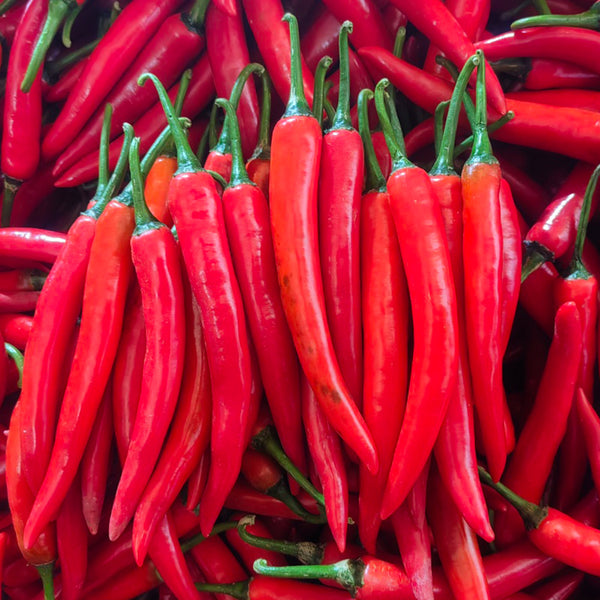 Meiren Chili Pepper Seeds, 50 Seeds
