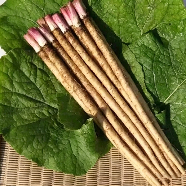 Burdock Seeds, 10g