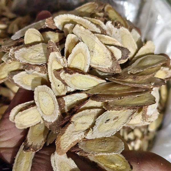Hedysarum Polybotrys, 30 Seeds