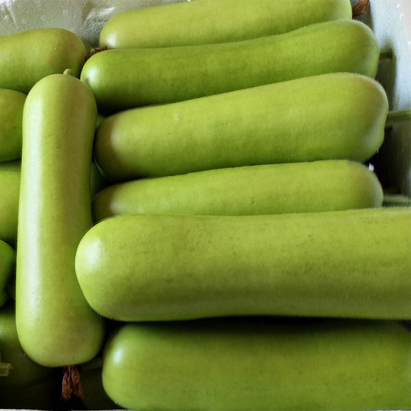 Guangpu 1701 Bottle Gourd Seeds, 100 Seeds