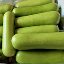 Guangpu 1701 Bottle Gourd Seeds, 100 Seeds