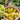 'White Princess F1' Tomato Seeds, 6 Seeds