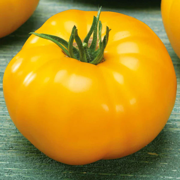 'Peaches and Cream' Tomato Seeds, 5 Seeds