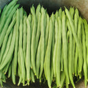 Supplier Snap Bean Seeds, 10g Per Bag