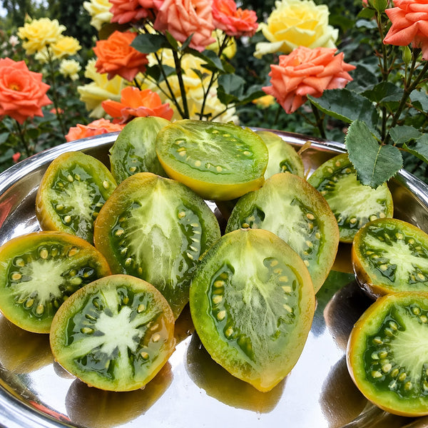 216 Smolka Beauty Multiflora Tomato, 5 Seeds
