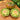 145 Renegade Tomato, 5 Seeds