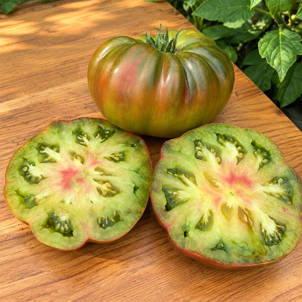 145 Renegade Tomato, 5 Seeds