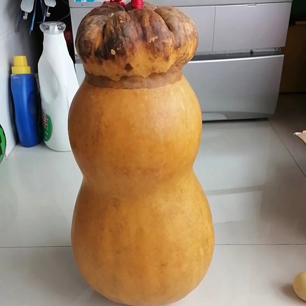 Small Lotus-head Gourd, 10 Seeds