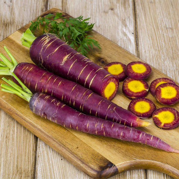 Purple Carrot F1 Seeds, 5 Grams ≈ 3000 Seeds