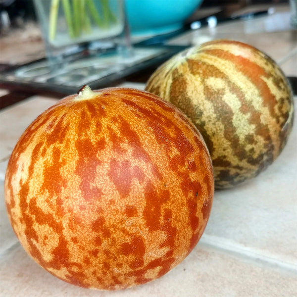 Tiger Melon, 10-15 Seeds