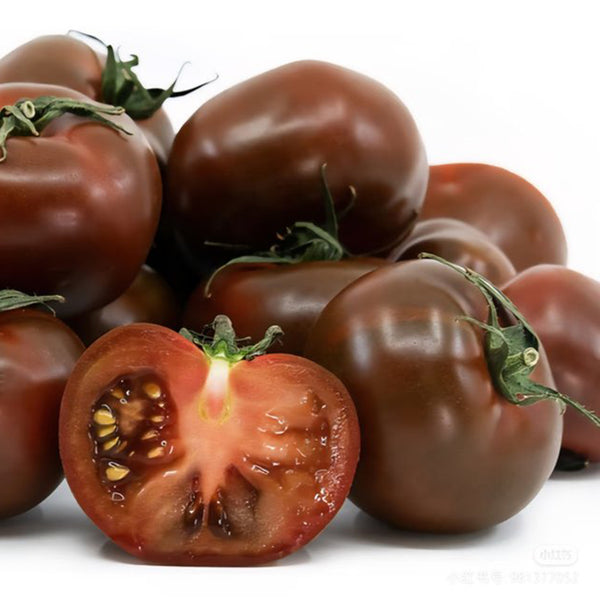 'Coffee Strawberry' Tomato Seeds, 100 Seeds