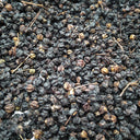 Aralia Shoots, 100 Seeds