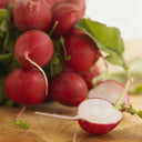 Akahimaru Radish Seeds, 10g
