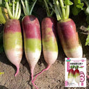 Ice Cream Radish Seeds, 50 Seeds
