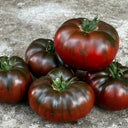 811 Paris Tomato, 5 Seeds
