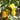 Yellow Bell Pepper Seeds, 20 Seeds