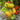 874 Lugtan Tomato, 5 Seeds