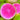 Xinlimei Radish, 50 Grams ≈ 5000 Seeds