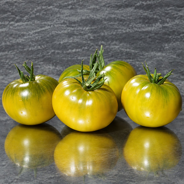148 Chinese Princess Tomato, 5 Seeds