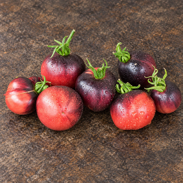 421 Ozark Sunset Tomato, 5 Seeds