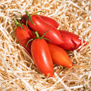 523 Sweet Casady Tomato, 5 Seeds