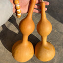 Da San Ting Gourd, 5 Seeds