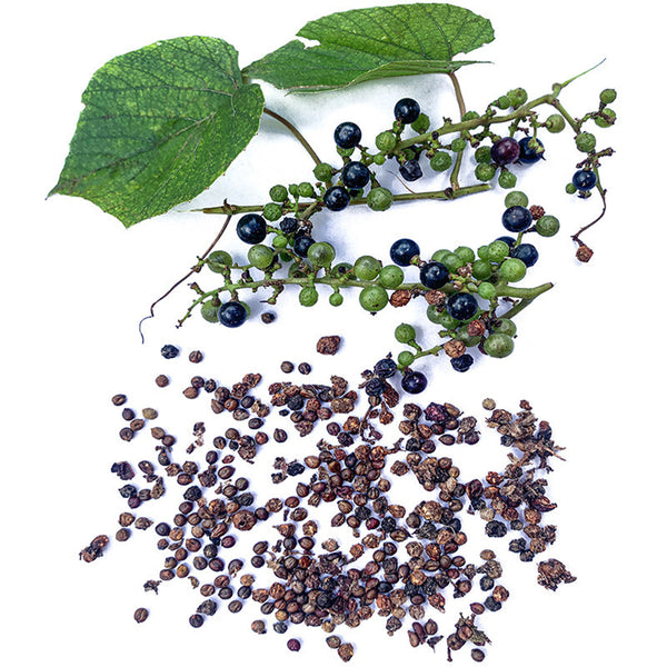 Mountain Grape, 50 Seeds