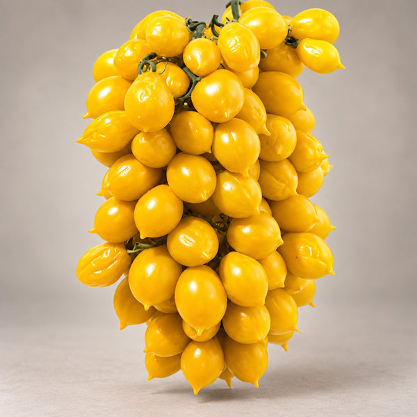430 Piennolo del Vesuvio Giallo Tomato, 5 Seeds