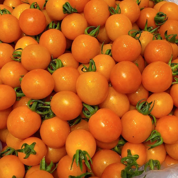 Golden Emperor Cherry Tomato, 200 Seeds