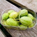 West Indian Gherkin, 10~20 Seeds