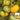 'Yellow Beauty' Beefsteak Tomato, 10 Seeds